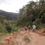 Randonnée sur la route d'Anjanaharibe-Sud