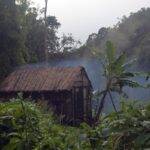 Petite cabane en bambou dans la forêt