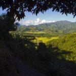 Rizières dans le bassin d'Andapa en aval d'Anjanaharibe-Sud
