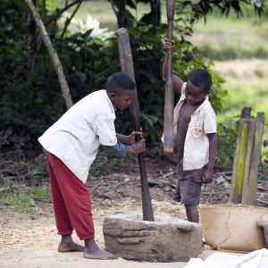 Jungen beim Reisstampfen