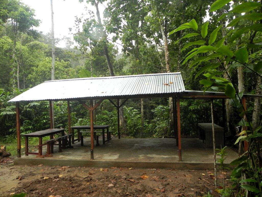 Ny ala maitso matevina miaraka amin'ny hazo lehibe dia manodidina ny fialofana iray izay misokatra amin'ny lafiny rehetra ary manana tafo vy mitafo fanitso sy andry fanohanana hazo.