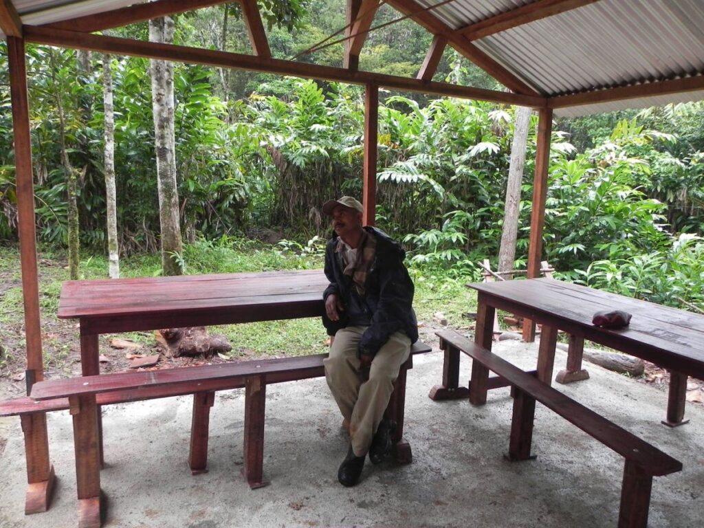 Lehilahy iray mipetraka eo amin'ny seza hazo eo amin'ny latabatra iray eo ambanin'ny toeram-pialofana misokatra sy vita amin'ny vy. Manodidina ny toeram-pialofana ny ala maitso sy maitso.