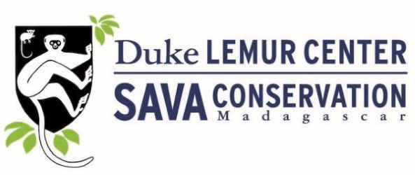 DLC SAVA logo