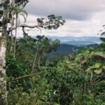 Vue de la route à travers la réserve