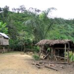 Petite ferme à Andranomafana près des sources thermales