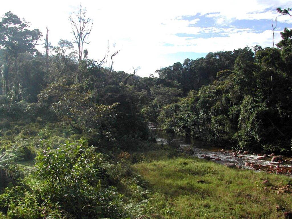 Misy renirano be vato mikoriana eo akaikin'ny faritra feno ahi - maitso. Ny ala matevina dia mifanila amin'ny lafiny mifanohitra amin'ny renirano.