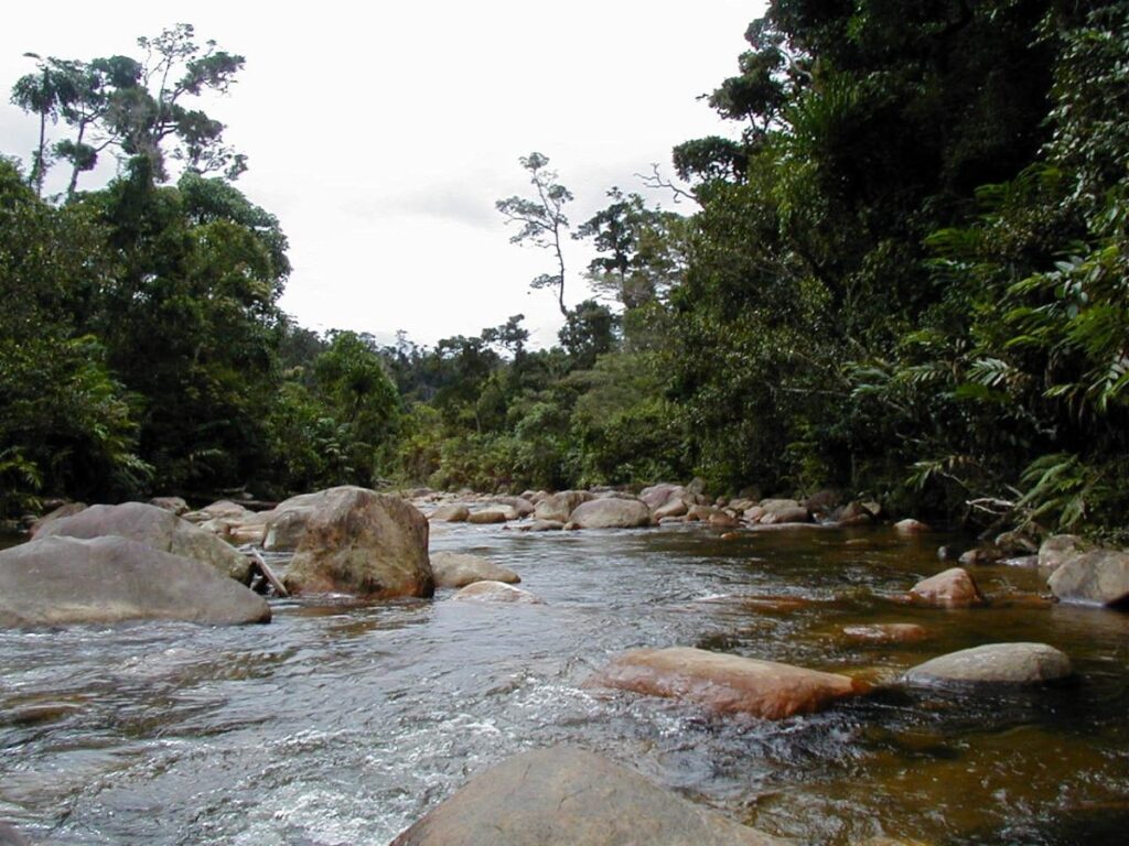 Misy renirano be vato mikoriana mamakivaky ala mikitroka.
