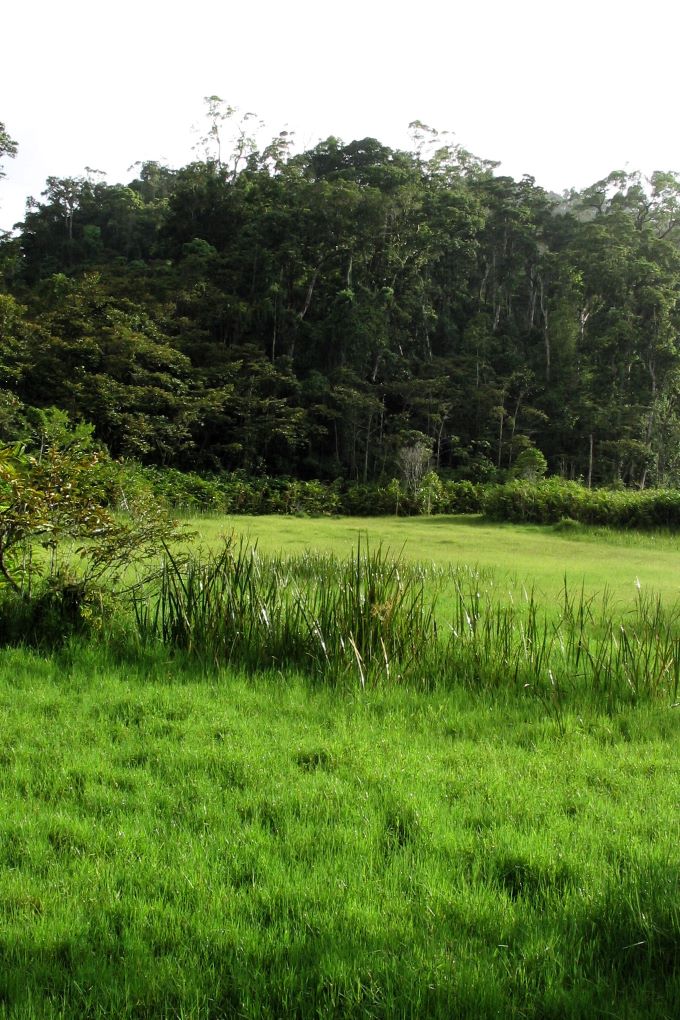 Marolakana Meadow