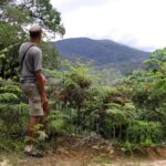 Vue des forêts d'Anjanaharibe-Sud depuis la route