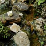 Offrandes aux ancêtres aux sources thermales de Ranomafana