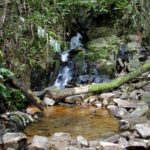 Sources thermales de Ranomafana