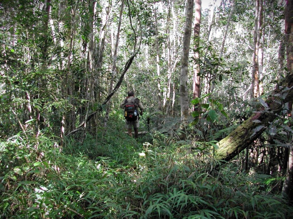 Lehilahy iray mitondra fonosana mandeha mamakivaky zavamaniry matevina any anaty ala.