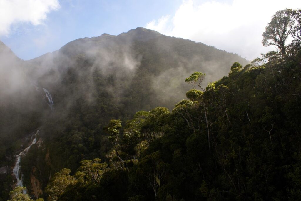 Ny hazo eo amin'ny habakabaka dia mirehitra amin'ny tendrombohitra feno zavona. Misy riandrano maromaro azo jerena amin'ny alalan'ny zavona midina amin'ny tendrombohitra.