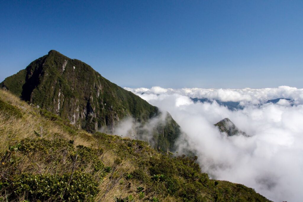 Miakatra eny amin'ny lanitra manga eo ambonin'ny rahona fotsy mibontsina ny tendron'ny tendron'ny telozoro maranitra.