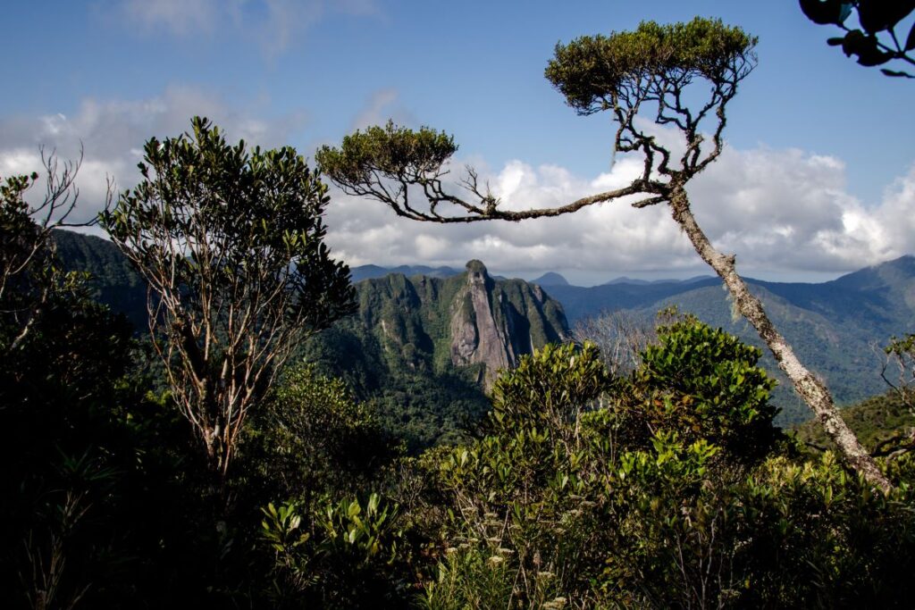 Misy hantsam - bato lehibe iray eny amin'ny faritra lavitra amin'ny lohasaha lalina.