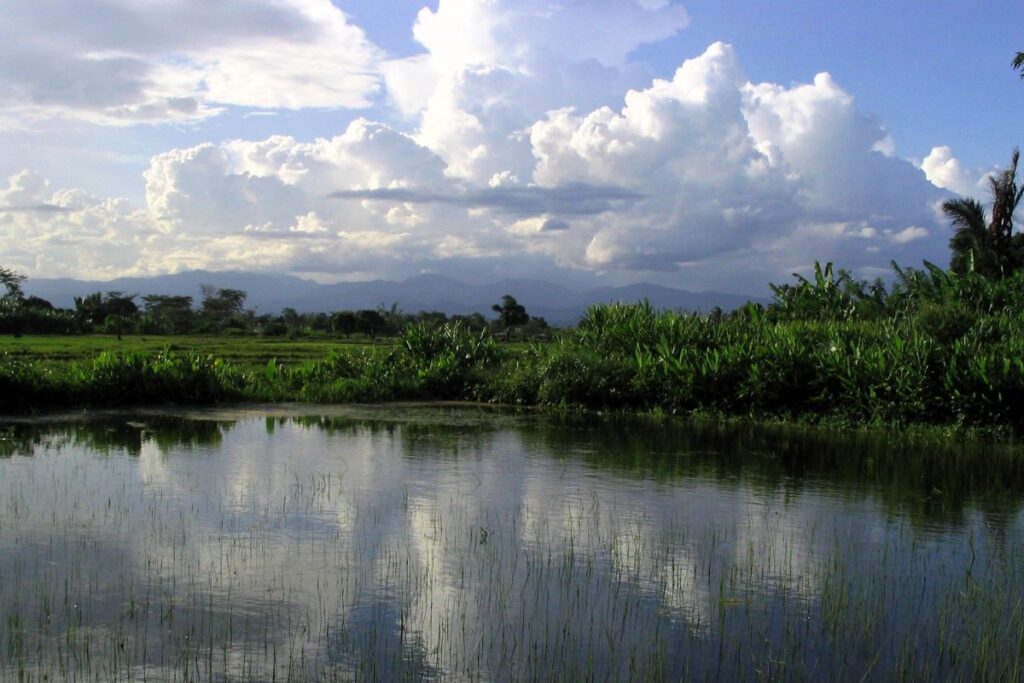 Misy rahona goavam - be mihevaheva eo ambonin'ny dobo kely feno bozaka voahodidin'ny saha maitso sy hazo.