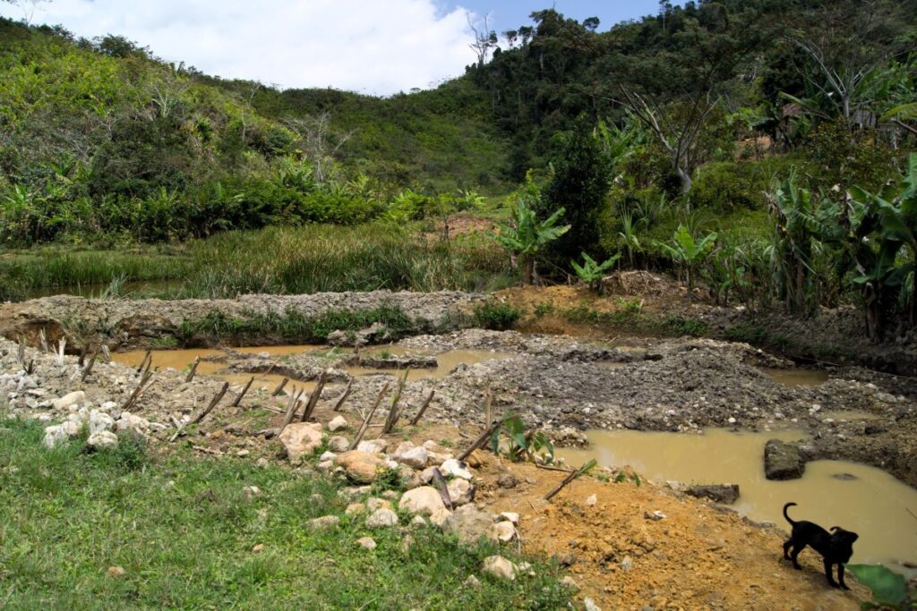 Eine Reihe von kleinen, schlammigen Tümpeln, die mit Steinhaufen durchsetzt sind, säumen eine kleine Rinne.