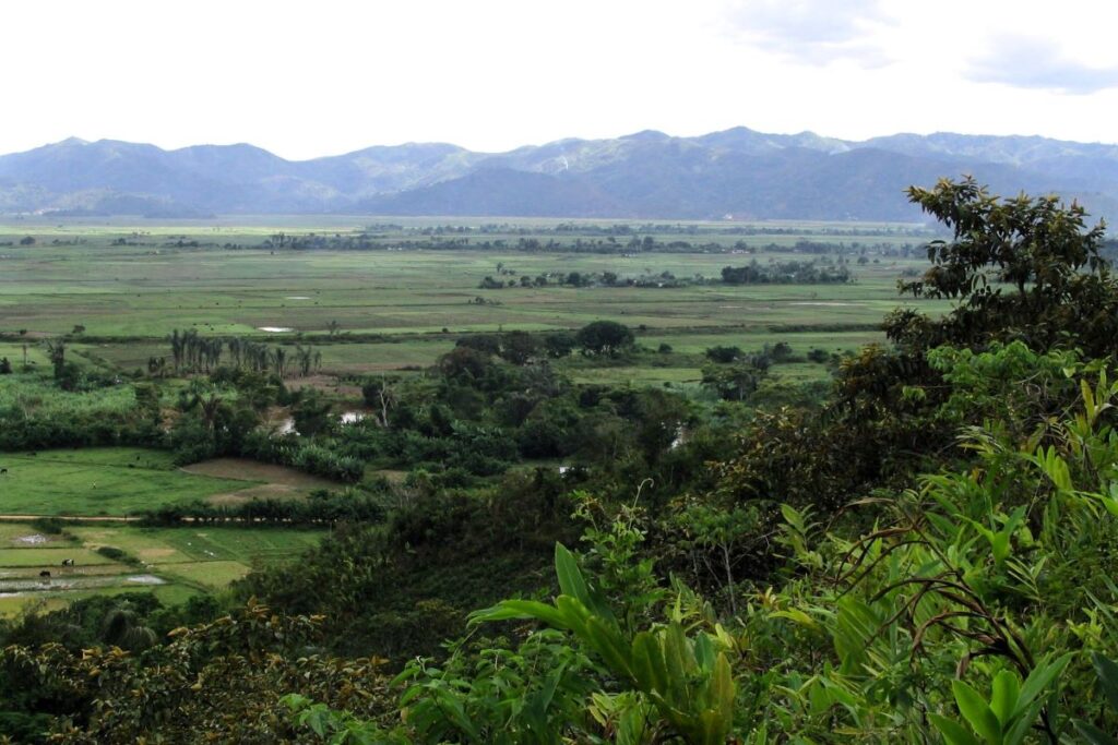 Mijery ny kirihitra eny amin'ny havoana iray mankany amin'ny tanimbary maitso midadasika, miaraka amin'ny tendrombohitra maitso manopy maitso eny lavitra eny.