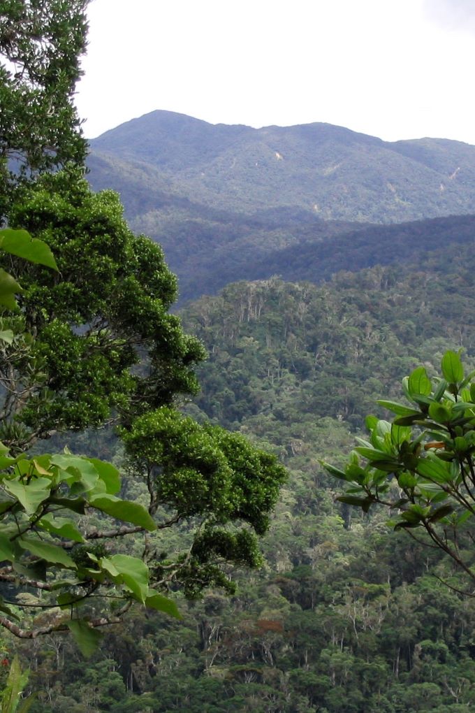 Anjanaharibe-Sud mountains