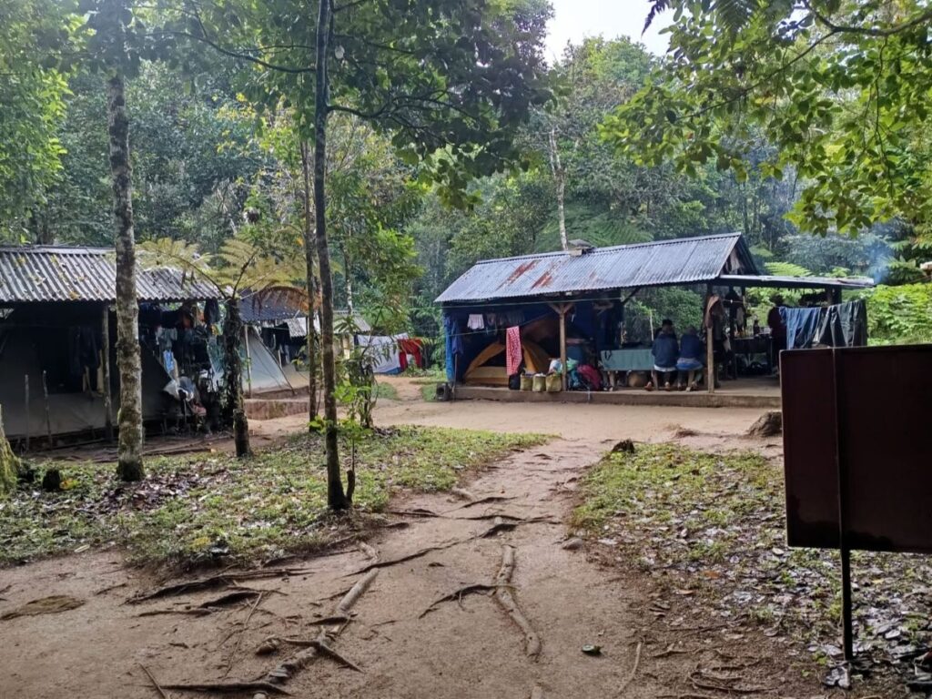 Imagen de varias estructuras sencillas abiertas por los lados en un pequeño claro de un bosque denso.