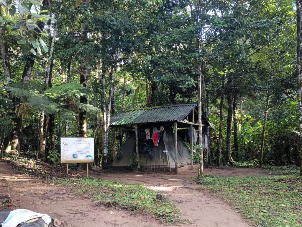 Imagen de un sencillo refugio con techo de chapa rodeado de árboles grandes.