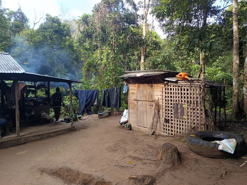 Imagen de varios edificios rústicos situados en un pequeño claro en medio de un bosque frondoso.