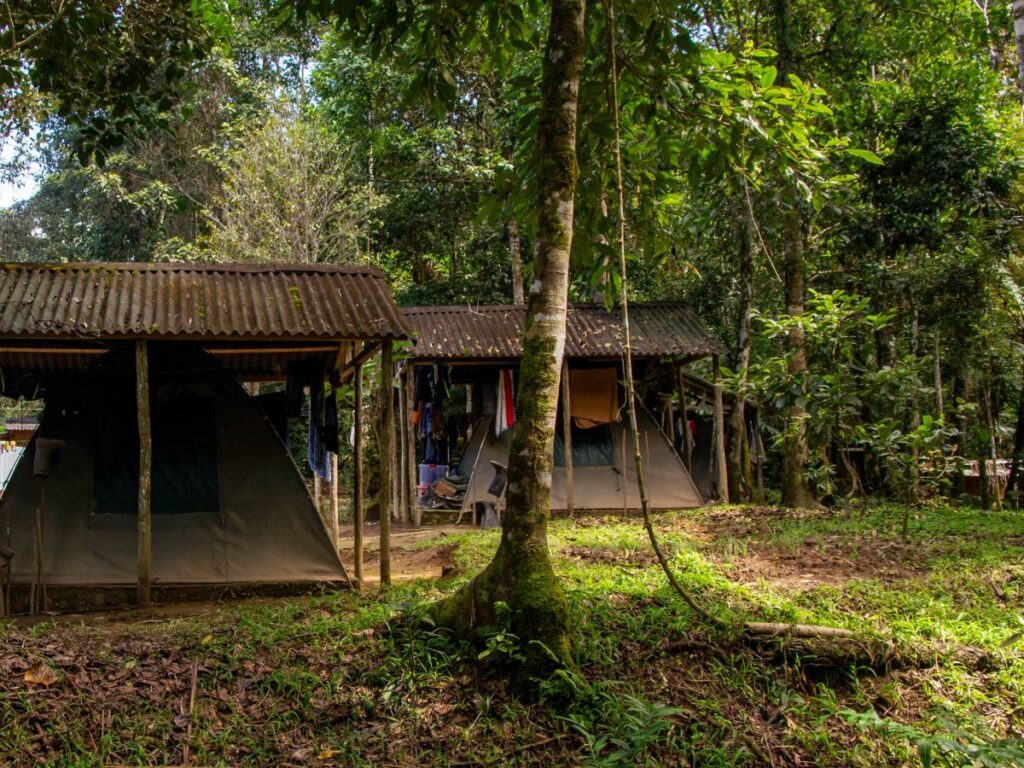Image représentant plusieurs constructions simples, chacune composée d'un toit métallique reposant sur des poteaux en bois et surmontant une petite tente en forme de dôme. Elles sont entourées d'arbres verdoyants.