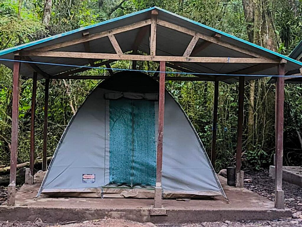 Image of a dome tent under an open post-and-beam shelter in the forest.